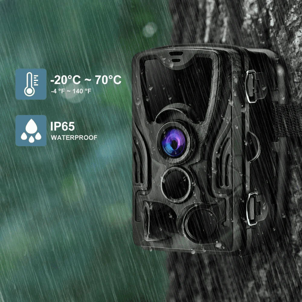 HD Wildlife Camera with Built-In Screen