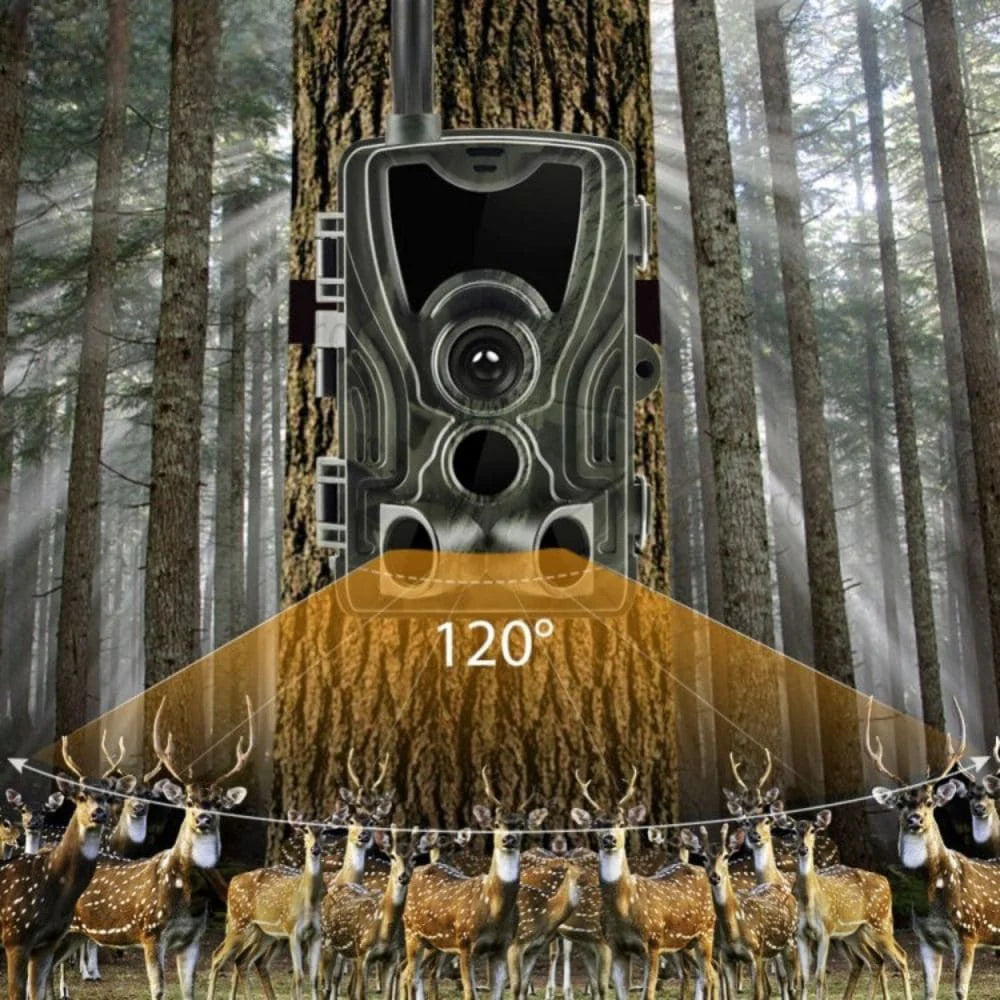HD Wildlife Camera with Built-In Screen
